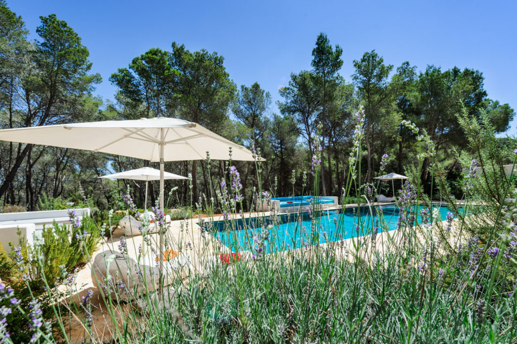 Can Terra - Ibiza Villa - Salon Mama