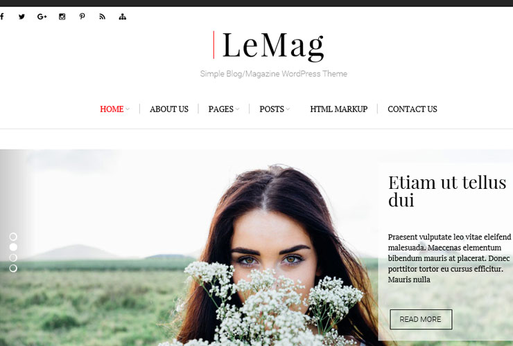 lemag blog theme