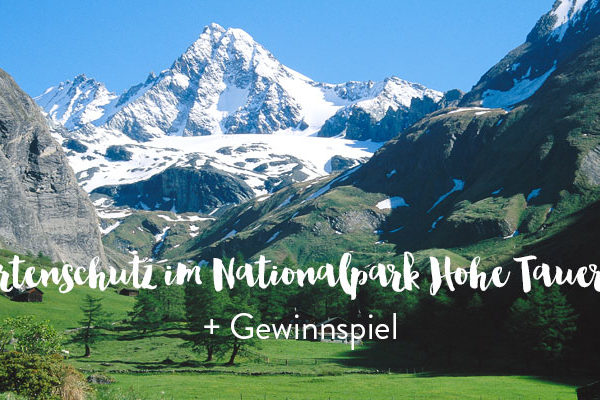 Artenschutz im Nationalpark Hohe Tauern